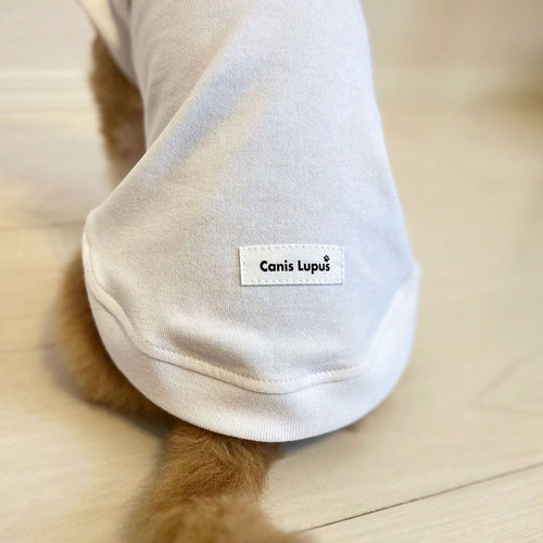 カニスルプス オリジナル犬服コットン生地パーカーホワイト